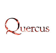 Quercus bags 'riveting' modern gothic from Wynne