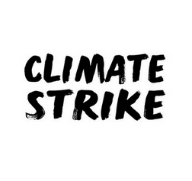 'Climate strike' named Word of the Year by Collins Dictionary