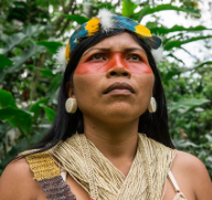 Wildfire signs rainforest campaigner Nenquimo's 'clarion call'