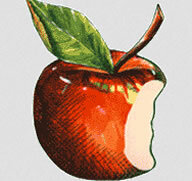 Virago scoops Heyward's 'extraordinary' dog memoir