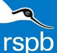 Walker signs five-year deal with RSPB 