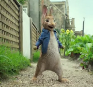 Sony launches trailer for upcoming Peter Rabbit film 