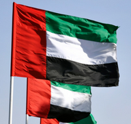 UAE brings in National Law of Reading