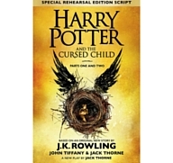 Cursed Child leads retailers&#8217; summer reads
