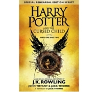 'Cursed Child' pre-orders indicate 'biggest book launch in 10 years'