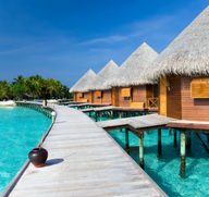 Maldives luxury resort seeks a bookseller