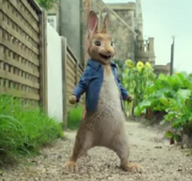 Joules launches Peter Rabbit collection 