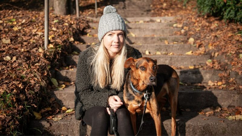 Tiny Tree to publish Lammers' debut picture book for first time in UK