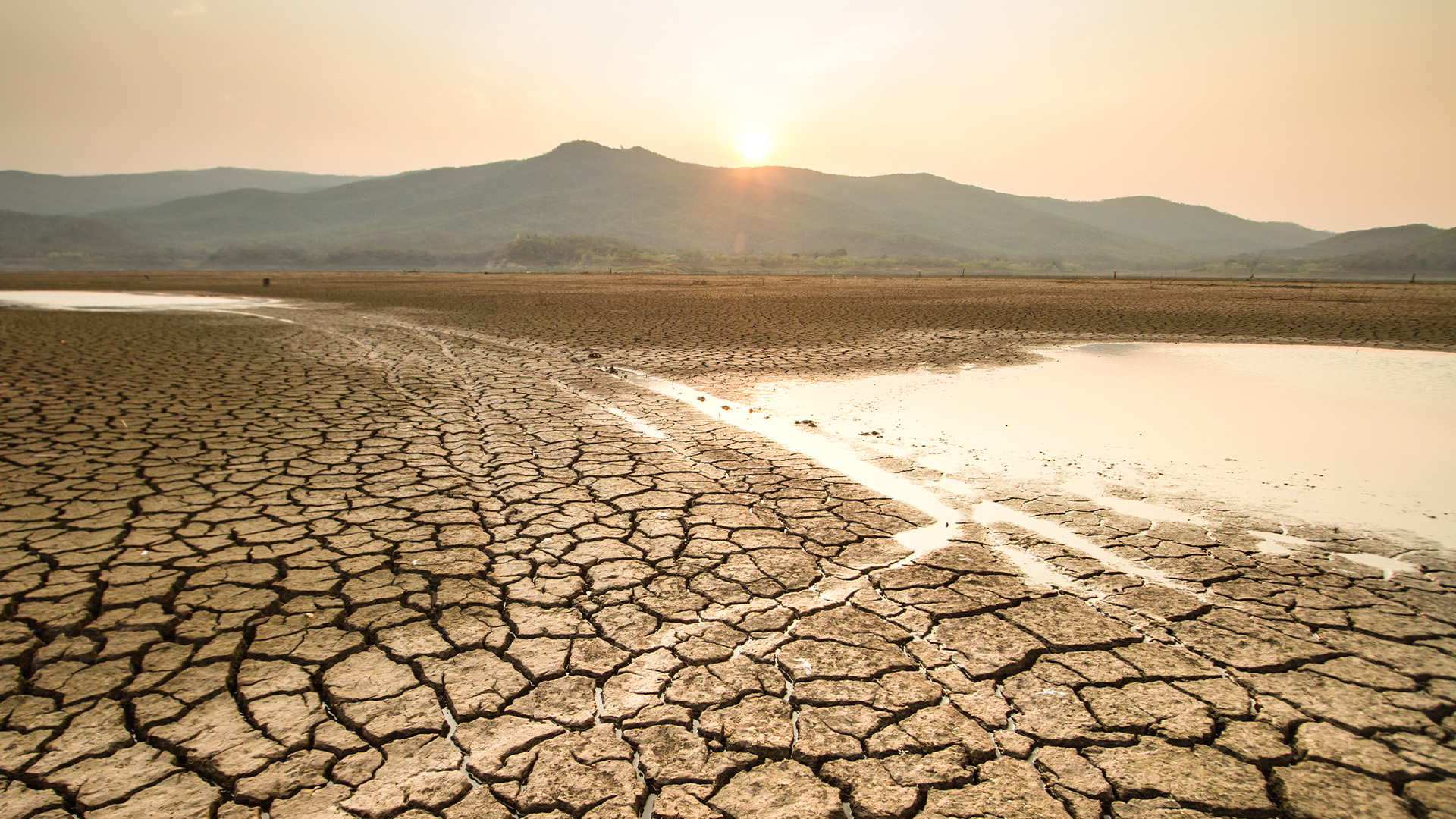 Train employees and reduce returns to help the planet, report says