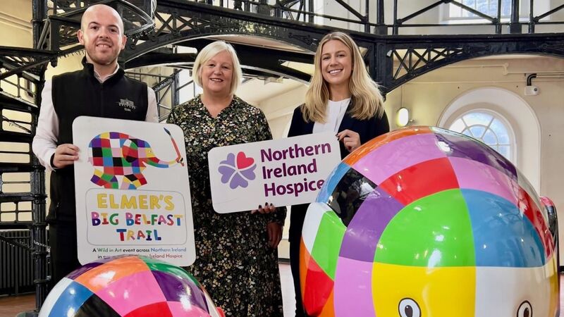 Elmer charity auction raises £131k for Northern Ireland Hospice