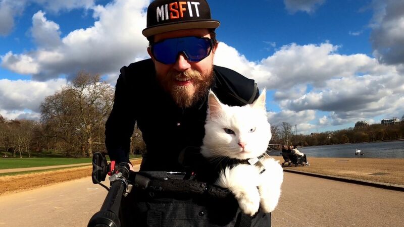 Radar nets joyful story of friendship between a man and his cat by Nelson 
