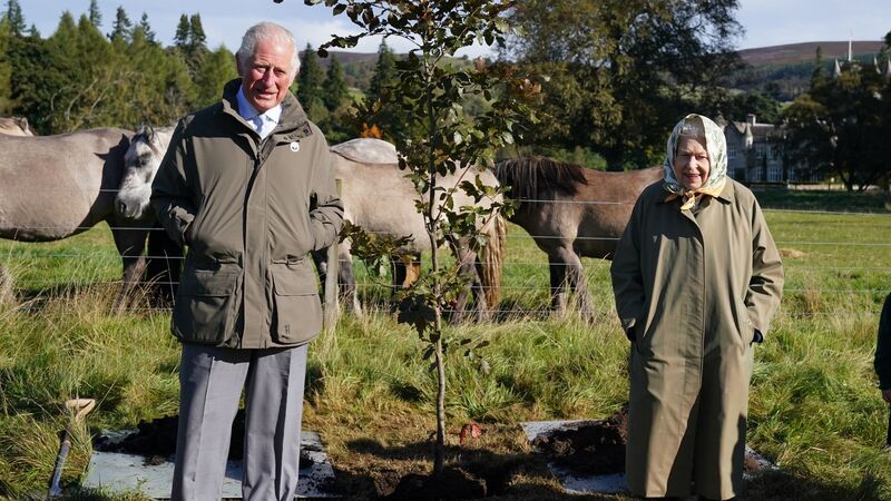 Book on late Queen's tree planting initiative with foreword by King Charles goes to Ebury Press 