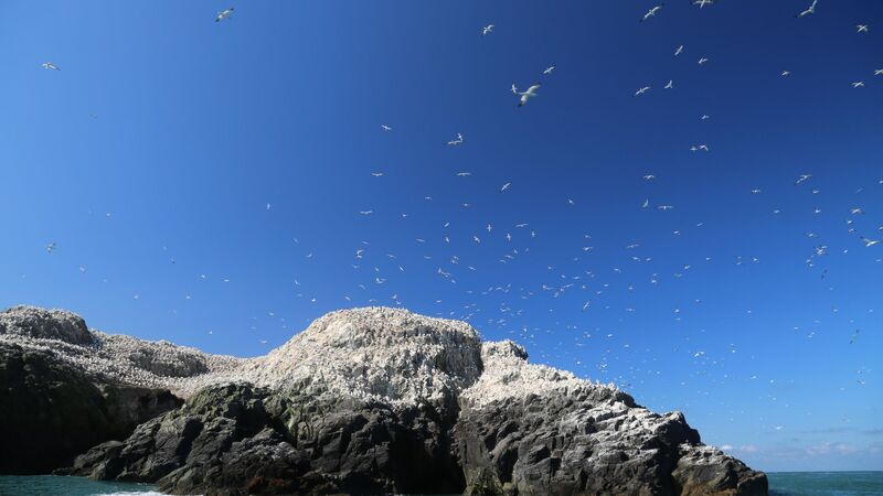 HarperNorth nets biography of the Irish Sea by Gower