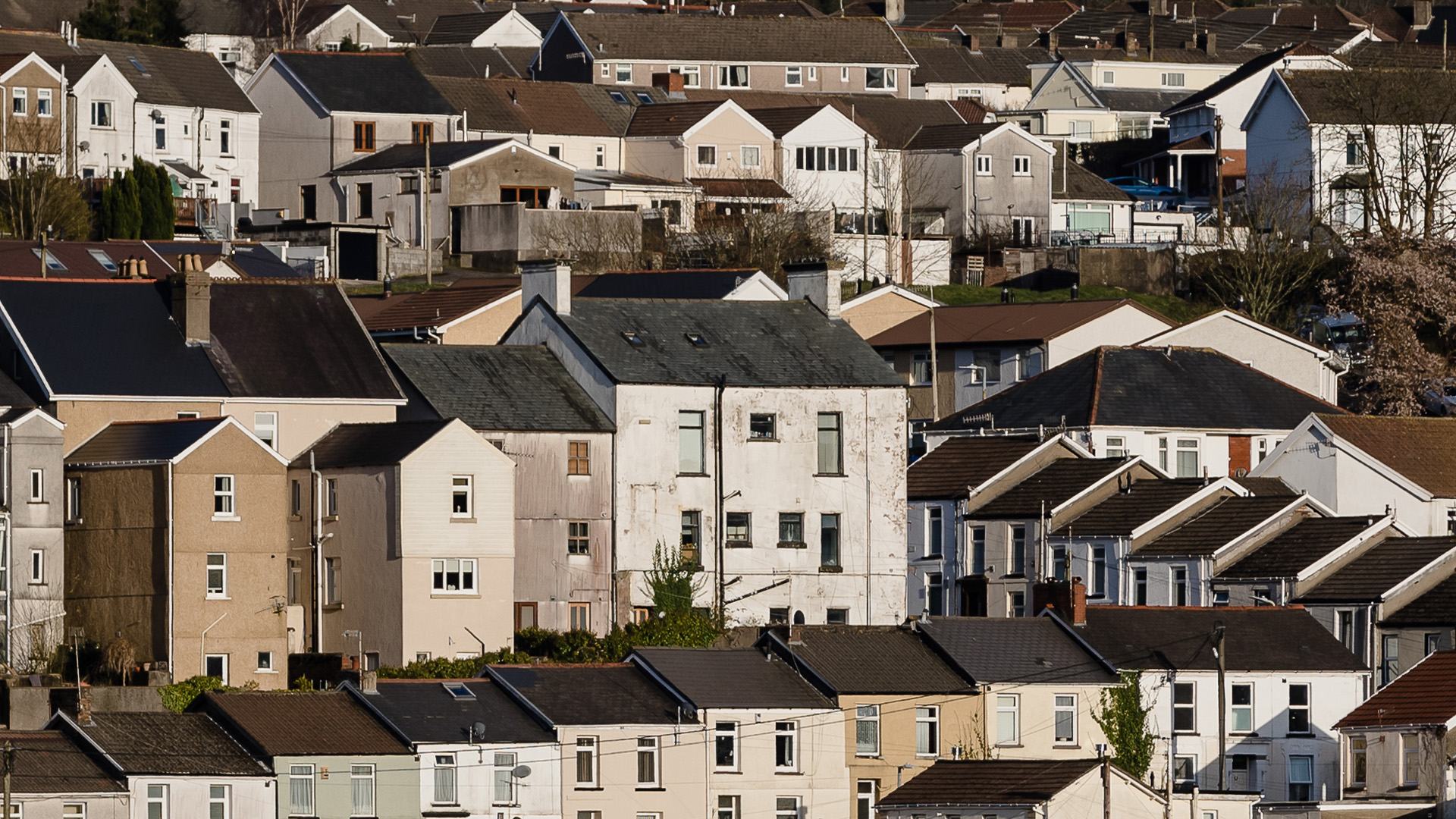 The Bookseller Comment It's not all daffodils and dragons