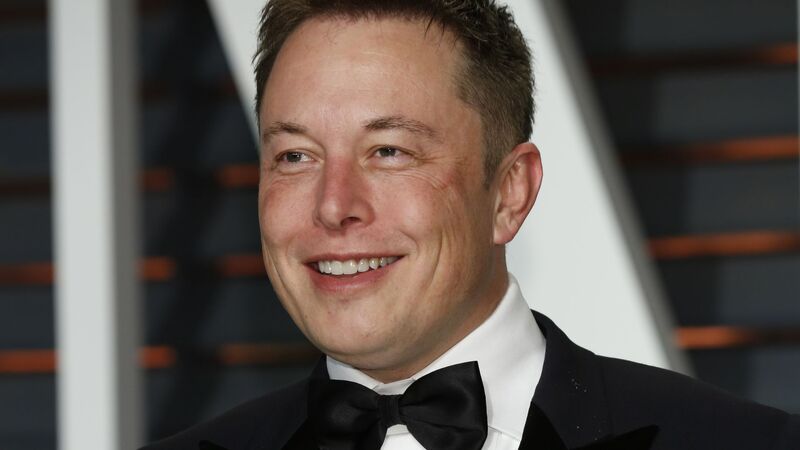 Elon Musk, c.e.o. of Twitter © Shutterstock