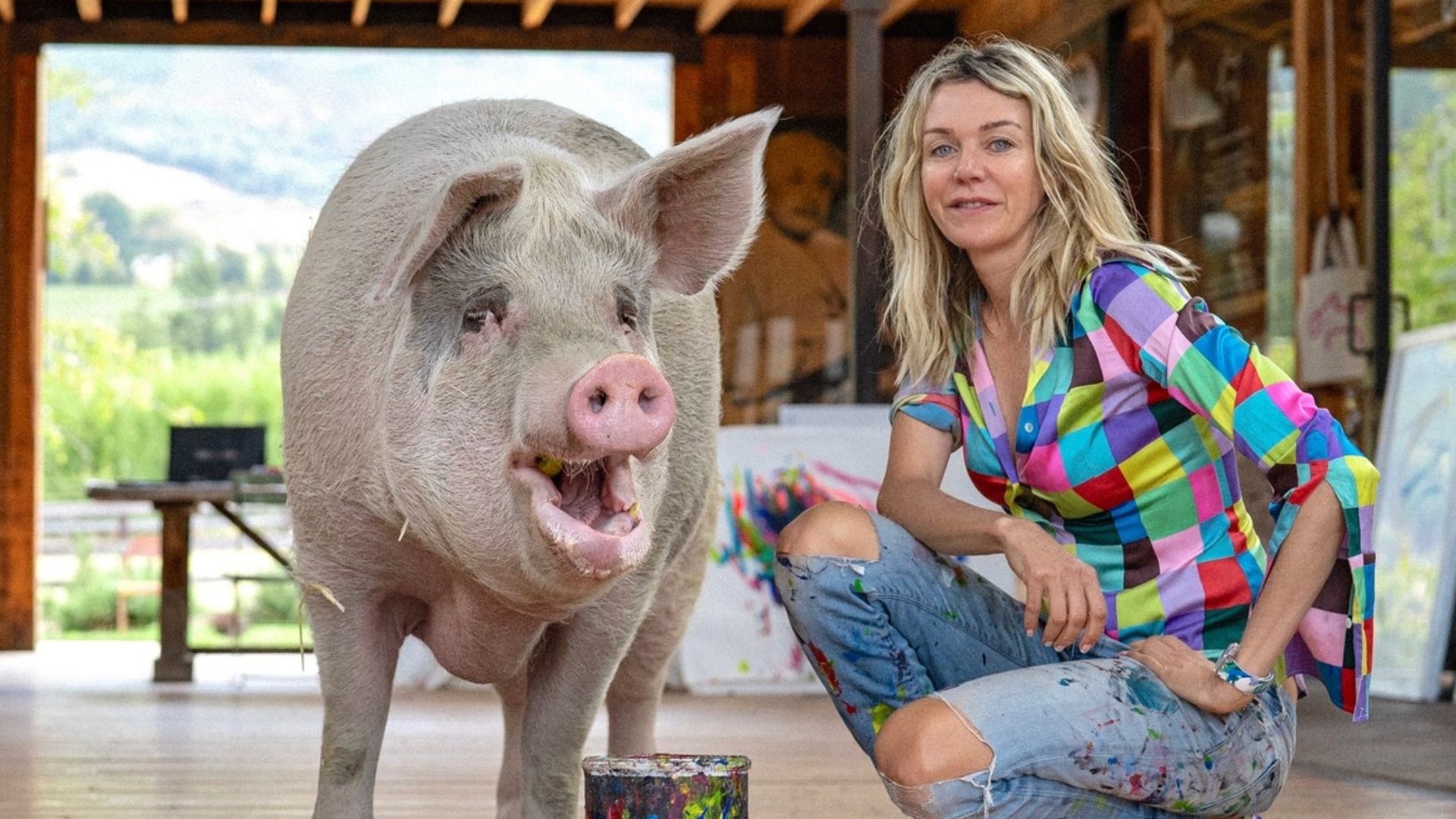 Pigcasso and Joanne Lefson