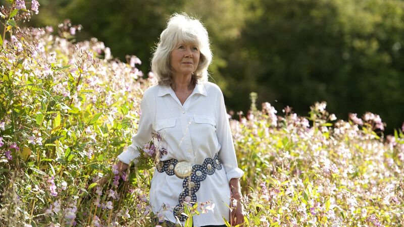 Jilly Cooper's 'Tackle!' given November pub date