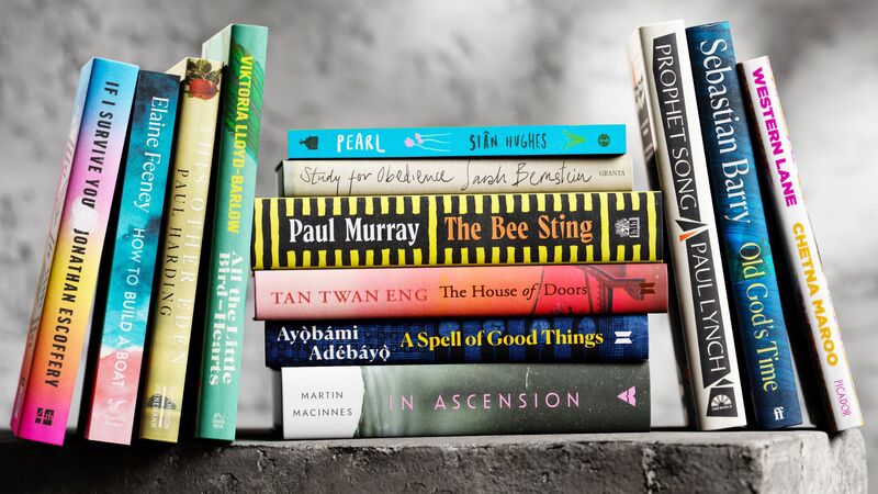 Critics praise 'fresh and surprising' Booker longlist but appeal for even more Irish names
