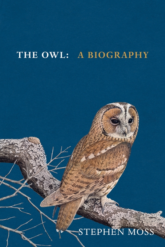 Cover of The Owl