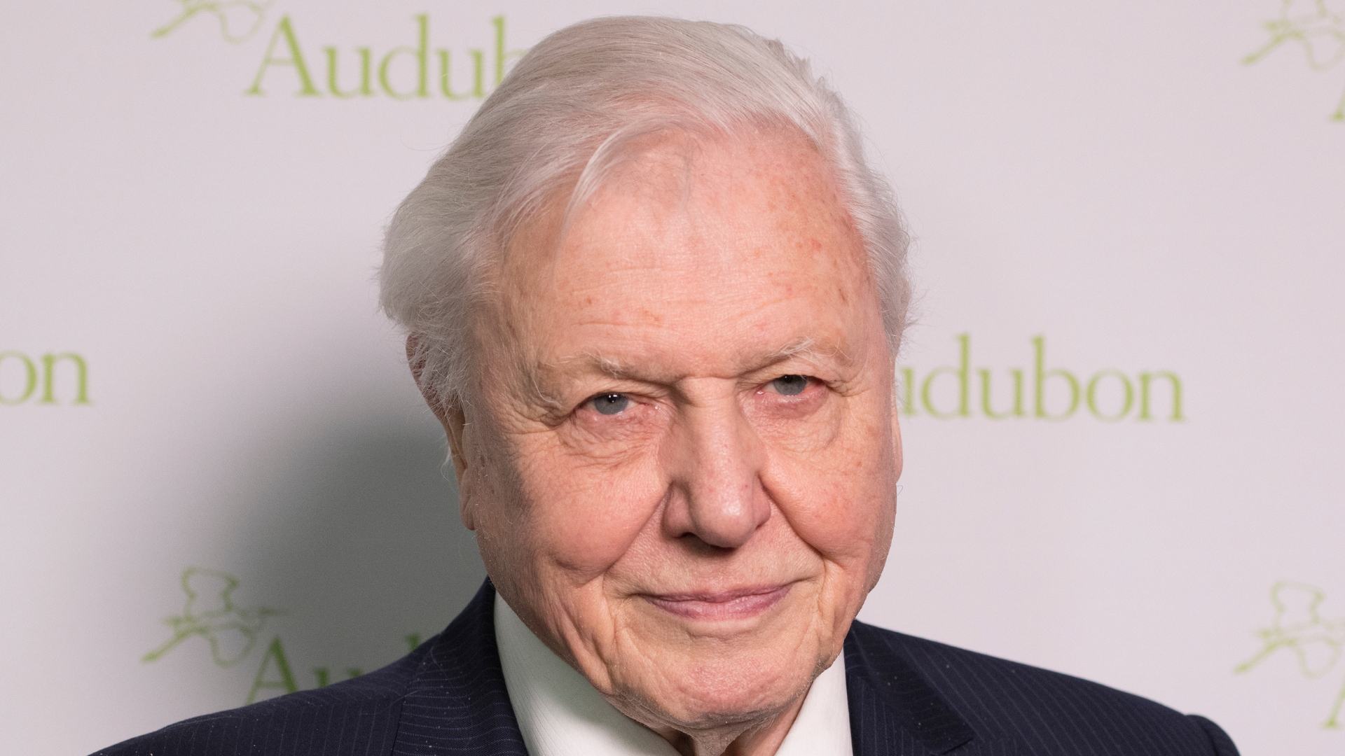 David Attenborough © Shutterstock