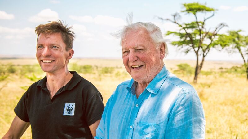 David Attenborough's 'landmark' book on the ocean goes to John Murray after five-way auction