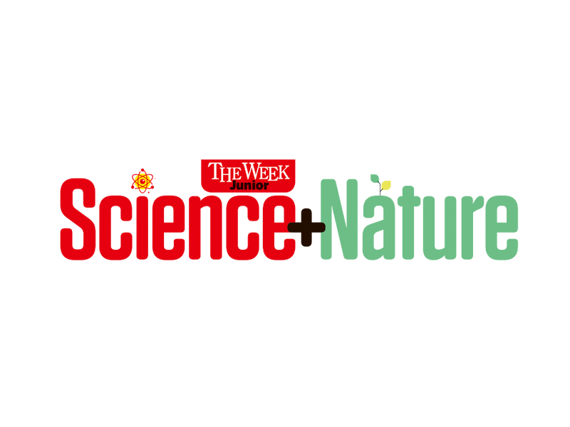 The Week Junior: Science & Nature