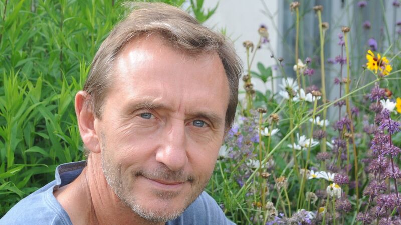 Bonnier Books UK buzzes off with bee expert Dave Goulson's guide to insects