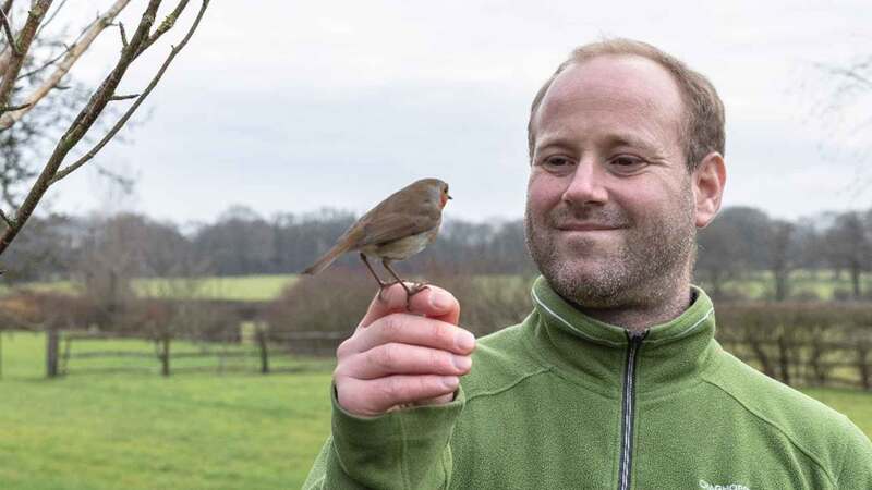 Gaia swoops for account of Tony Putman's 'extraordinary' friendship with a robin