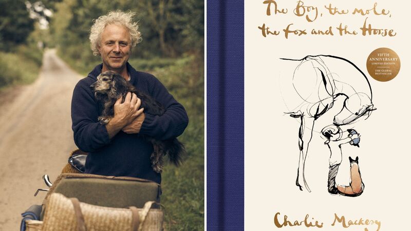 Penguin Random House to publish anniversary edition of Charlie Mackesy’s The Boy, the Mole, the Fox and the Horse