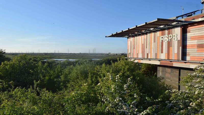 RSPB to close five shops across its nature reserves nationwide