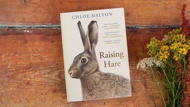 Chloe Dalton's debut novel named Hay Festival Book of the Year 2024