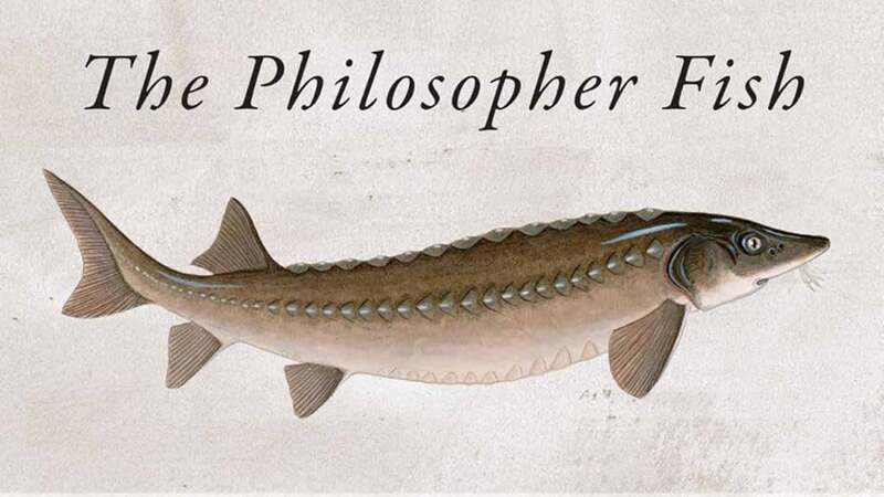 Philosopher Fish claims The Bookseller/Diagram Prize for the Oddest Book Title of the Year