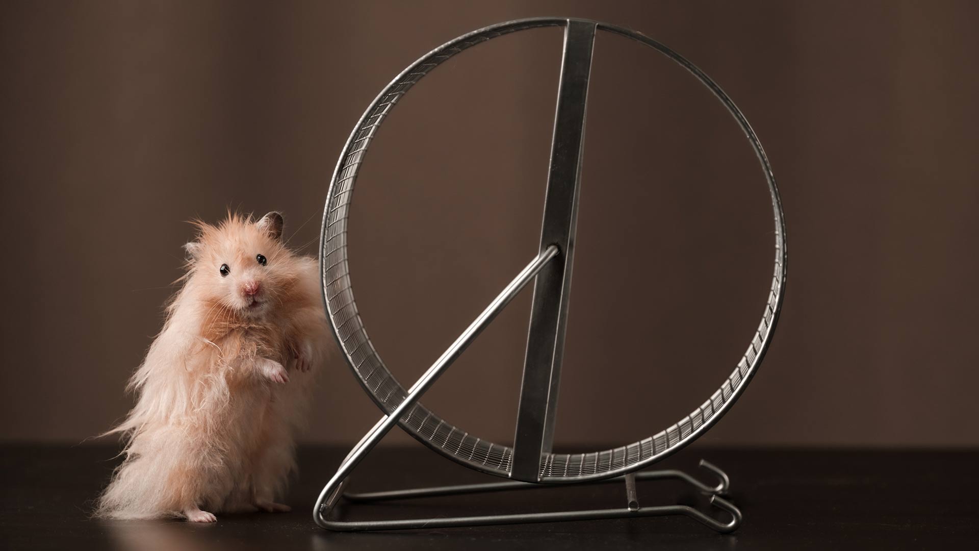 "We are on a hamster wheel of explaining and disproving bigoted views"