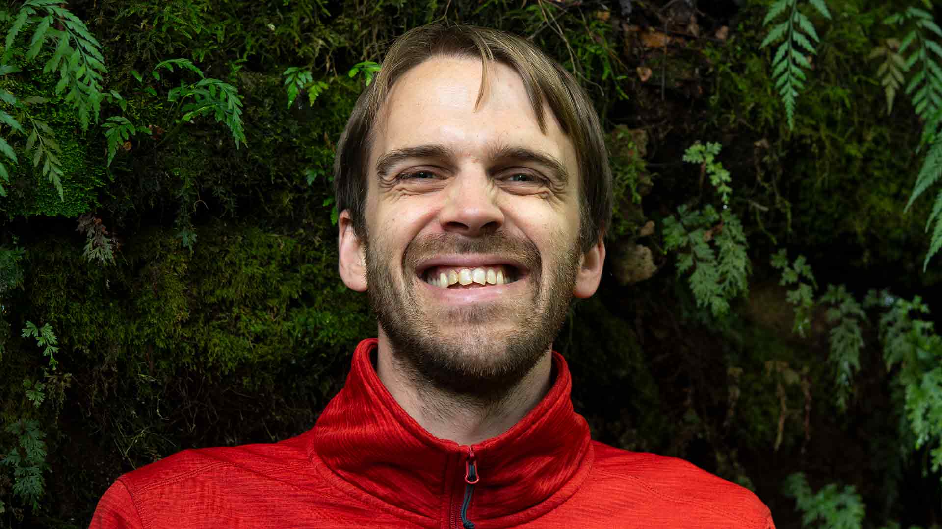 David Atthowe &copy; David Atthowe