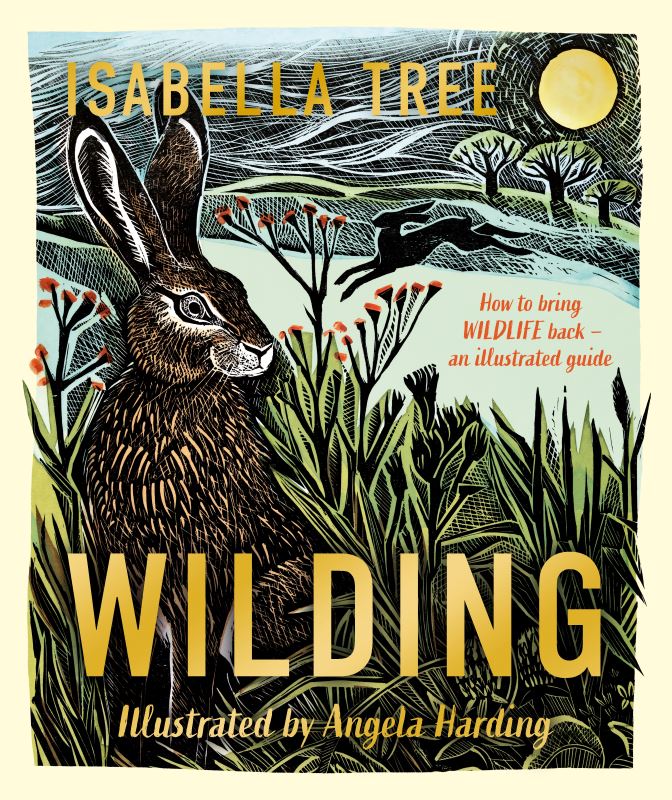 Wilding: How to Bring Wildlife Back 