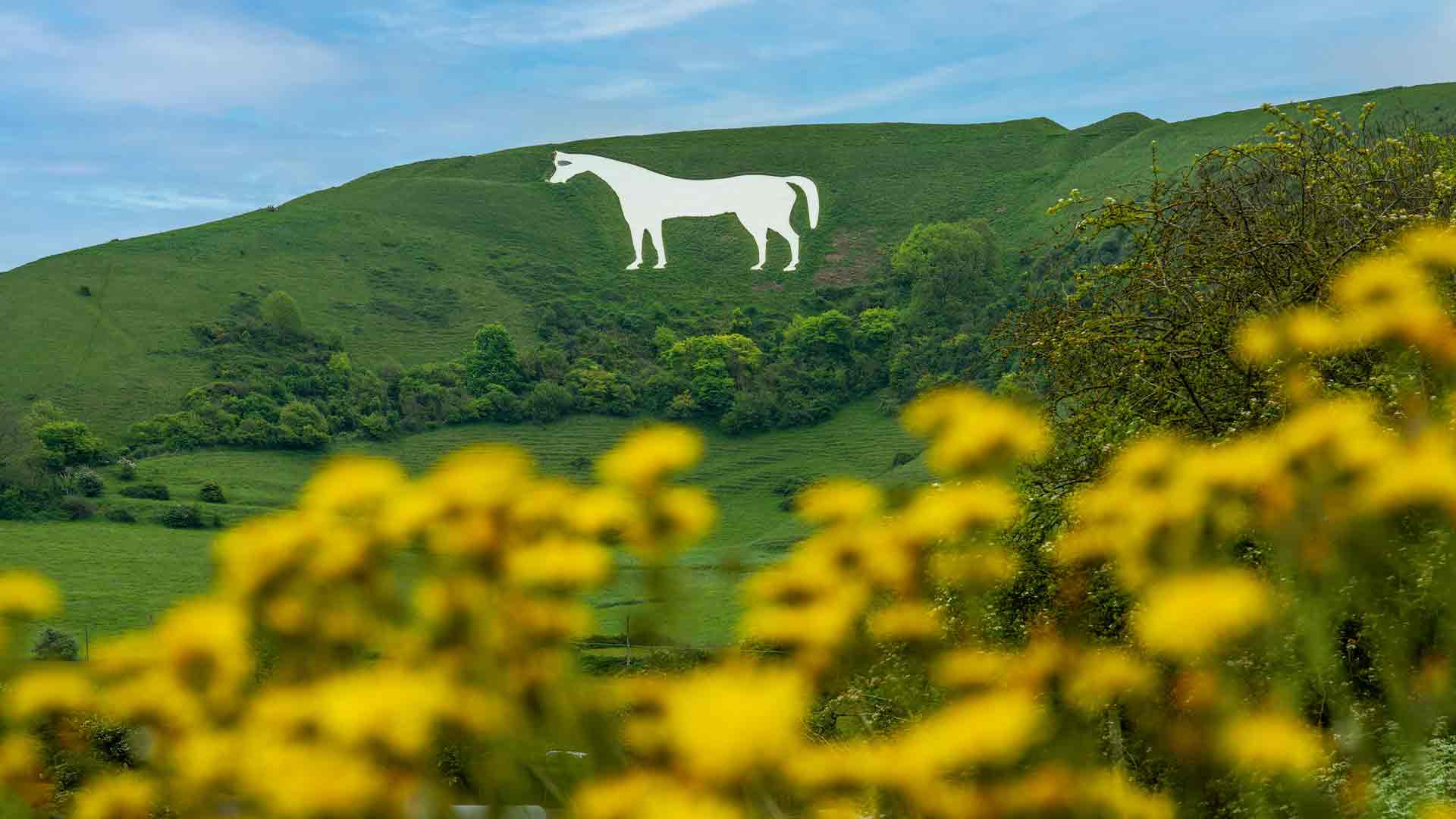 Westbury White Horse &copy;&nbsp;Shutterstock