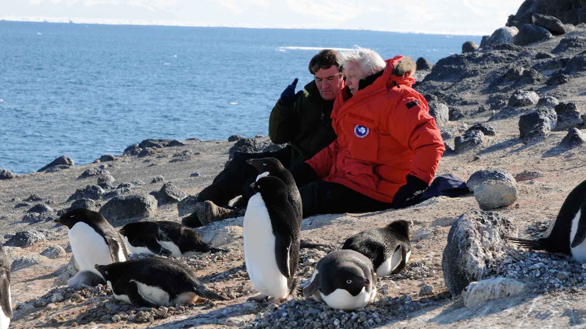 Alastair Fothergill and David Attenborough