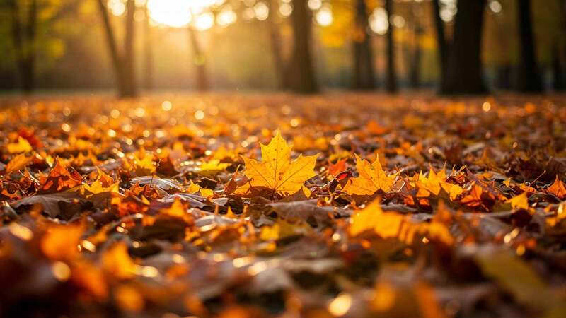 Books on BookTok: romance and fantasy continue to thrive