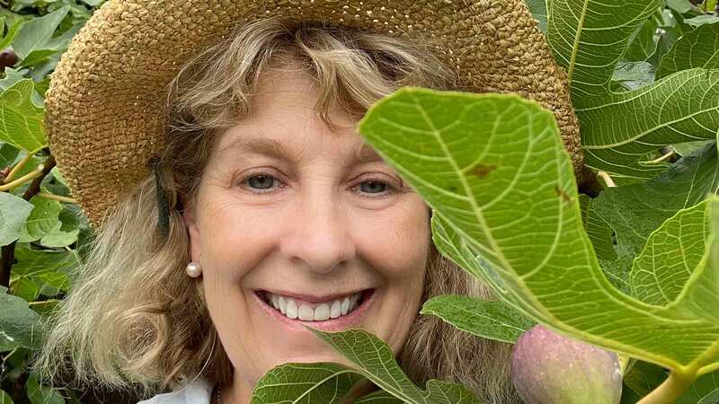 Kyle Books signs new cookbook from Natasha MacAller