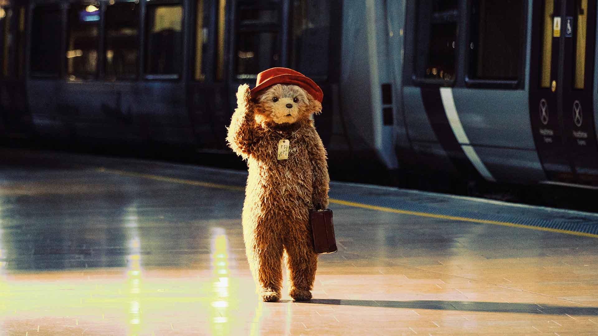 Paddington © Isha Shah Paddington © Isha Shah