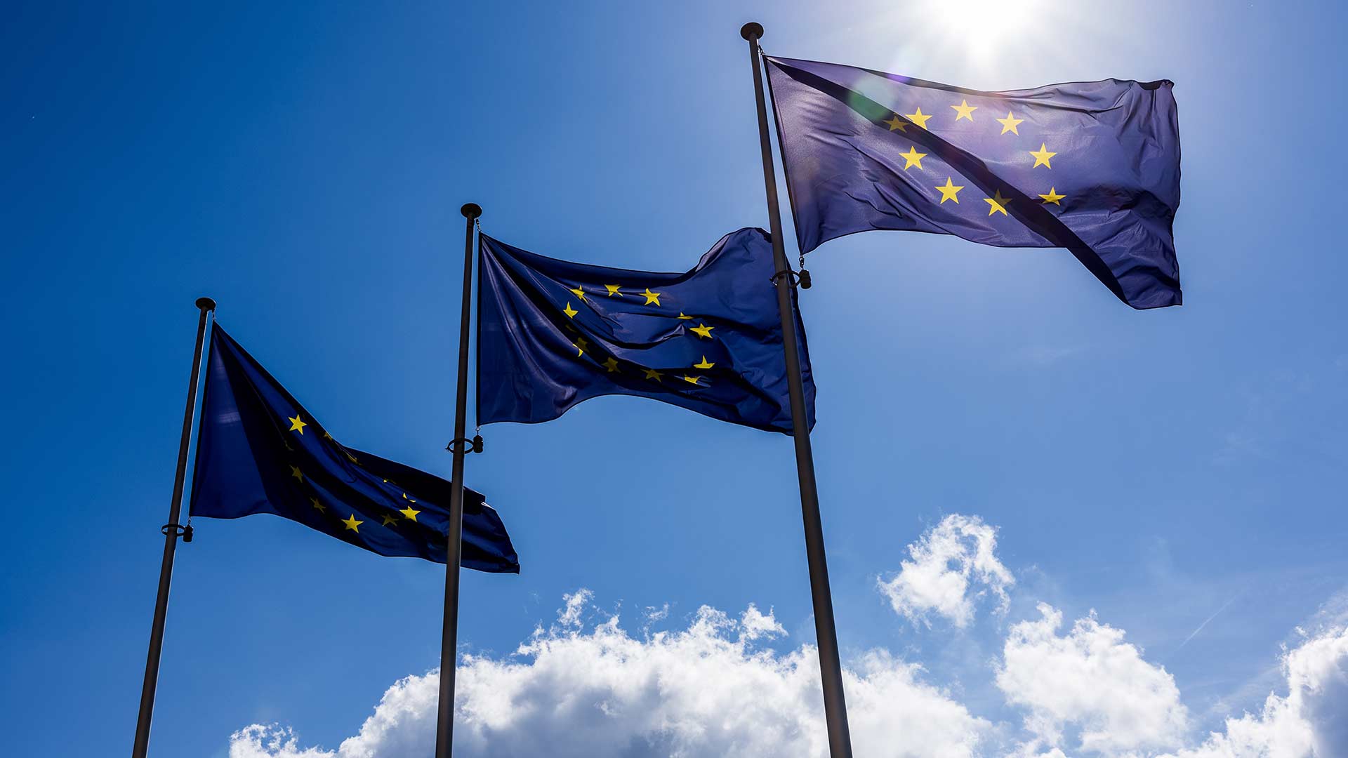 EU Parliament votes to exempt books from EU Deforestation Regulations