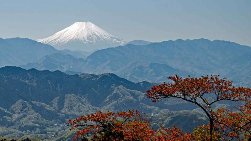 A flying start: the cost of travelling is going up &ndash; as are book sales