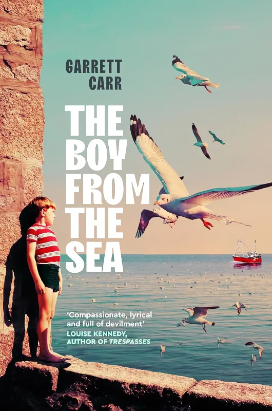The Boy from the Sea book cover