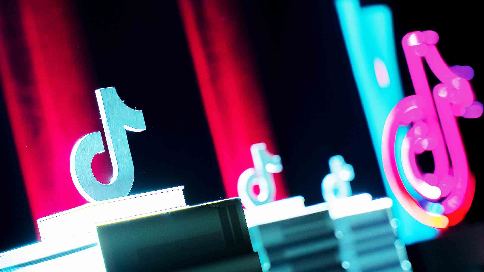 Books on BookTok: 'BookTok has highlighted the industry’s tendency to chase what’s already working'