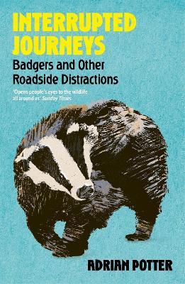 Interrupted Journeys: Badgers and Other Roadside Distractions 