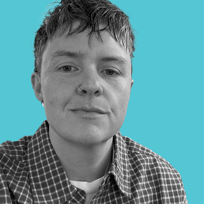 Small presses take big swing on trans titles