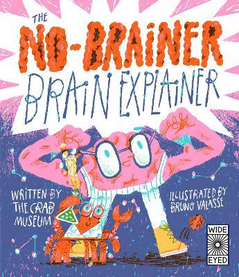 The No-Brainer Brain Explainer 