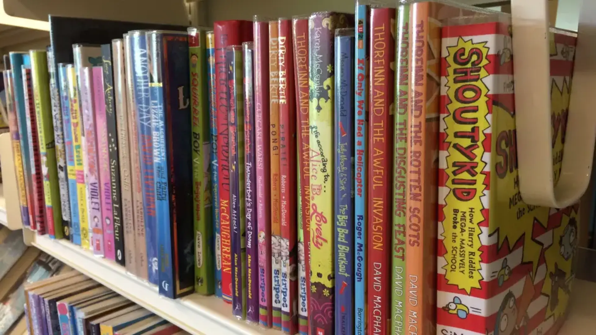 Library service awarded for 'community cohesion'